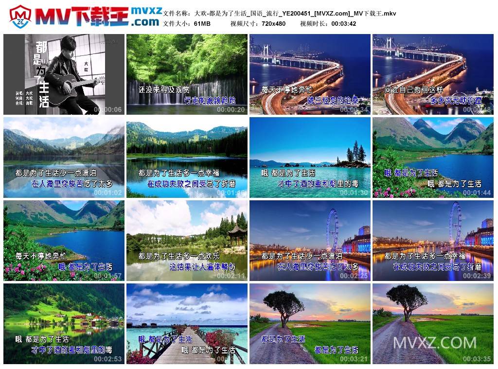 大欢-都是为了生活_国语_流行_YE200451